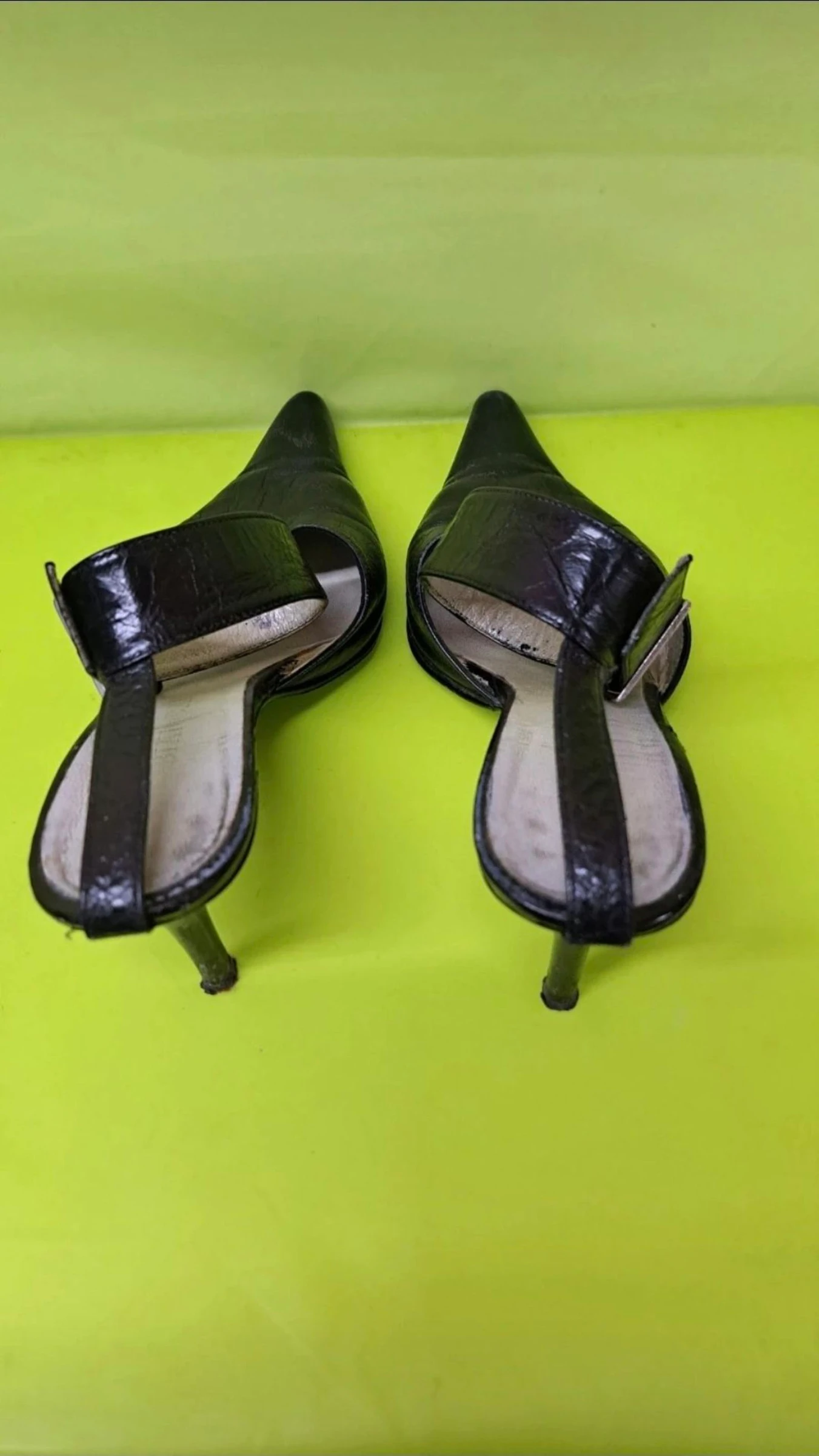 Mules pretos senhora. – photo 3